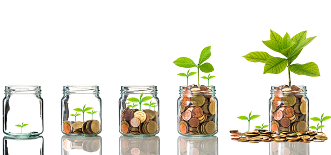 Five clear jars with each one having more and more coins and small plant growing.