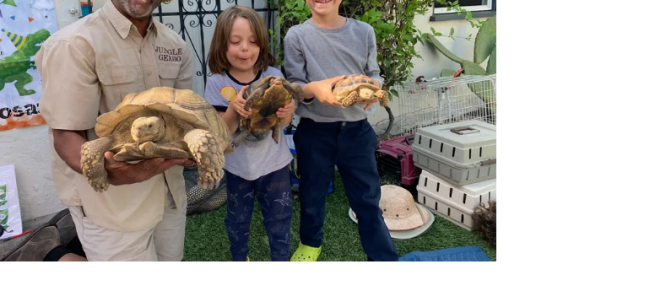 man in a khaki adventure style outfit standing next to a boy and girl all holding turtles in a yard