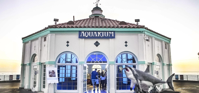 building of an aquarium museum