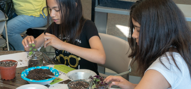Teens Making Tiny Terrariums