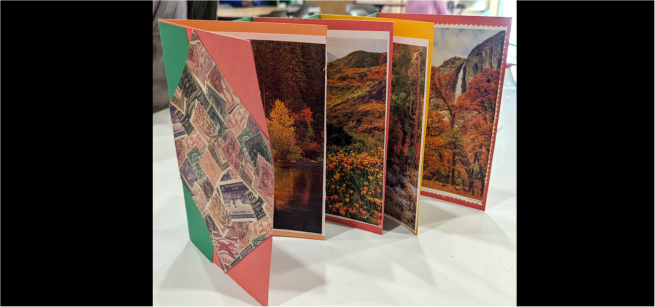 Photo of a paper book with nature photos on it.