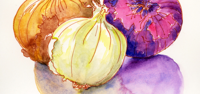 onions with watercolor