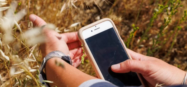 closeup of phone making observation