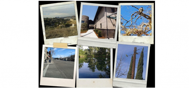 collage of 6 images of Highland Park; 4 nature shots, 1 of the library, and one street scene