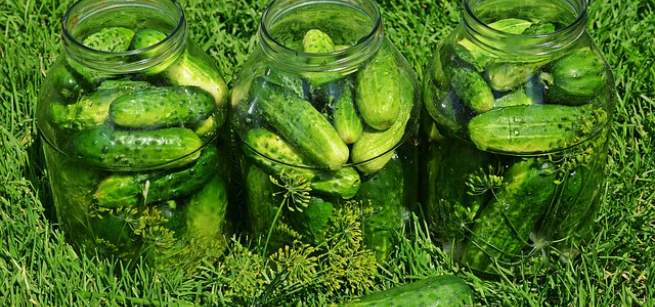 Three jars of pickles, Image by Krzysztof Jaracz from Pixabay