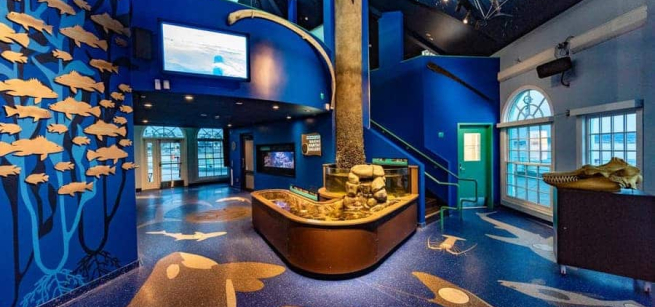 interior of aquarium gallery