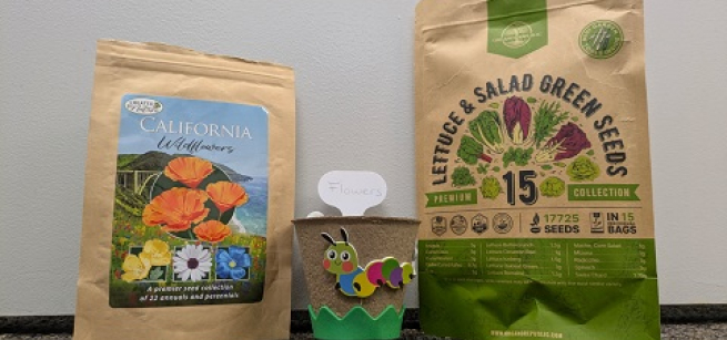 paper pot, flower and lettuce seeds