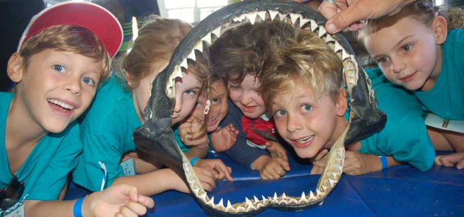 A group of kids peering through a skeleton of a shark's mouth