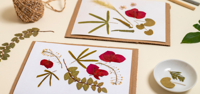 Two pieces of white square paper on top of two pieces of cardboard with an arrangement of dried red flower petals and various clusters of green leave with dried leaves on top of the table to the left and a small with dish with dried leaves.