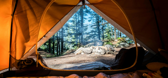 Inside a tent looking out to the forest.