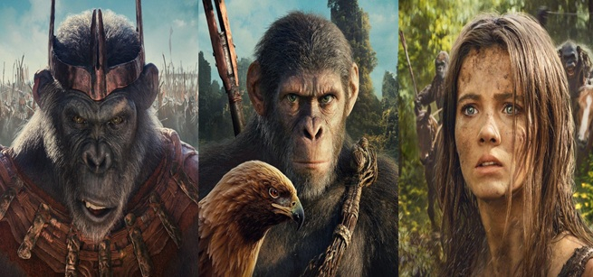 Faces of two apes and one woman