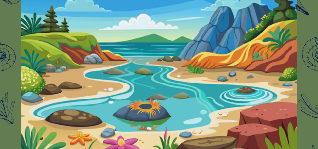 Multi-colored Cartoonish image of a tide pool with green borders and black seashell imagery on the edges