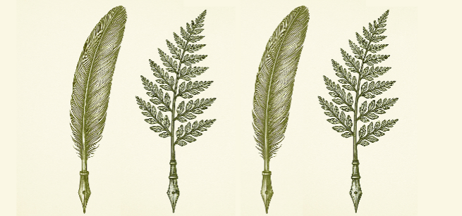 Quill for writing with feathers that look like leaves.