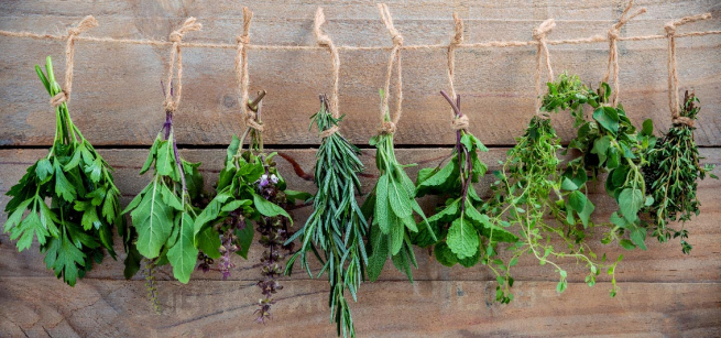 herbs bundles tied in twine hanging upside down 