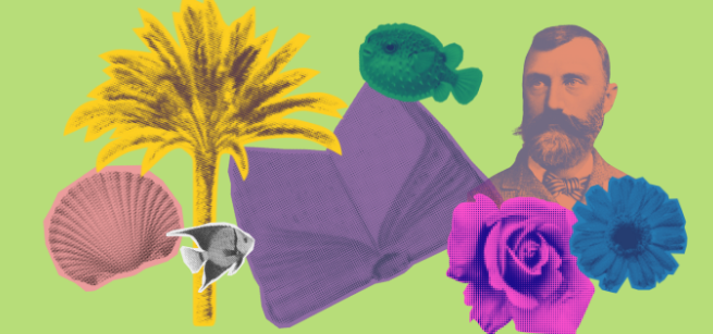 An assortment of icons such as a book. palm tree, seashell, and flowers.