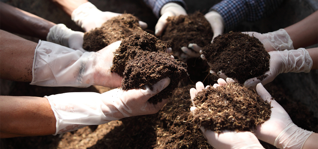 multiple hands holding compost