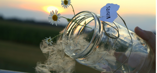 Photo of a jar of wishes and dandelion blowballs