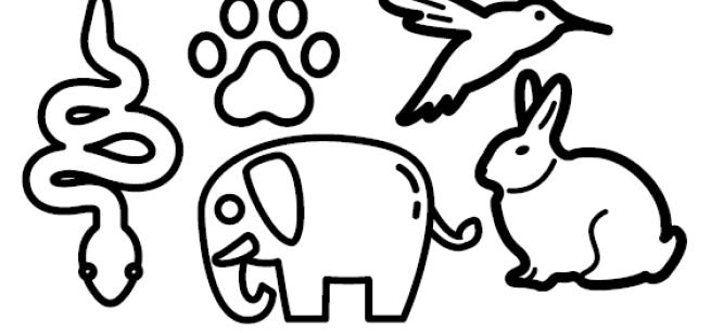 animals to draw for shrinky dinks