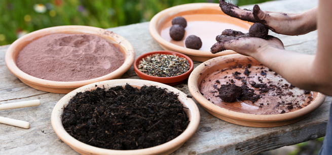 A person in the process of making seed bombs. Four trays with dirt, seeds and clay on a table.