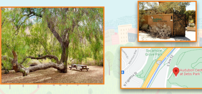 storytime under the pepper tree