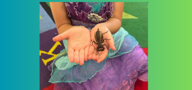 woman holding a bug in her hands