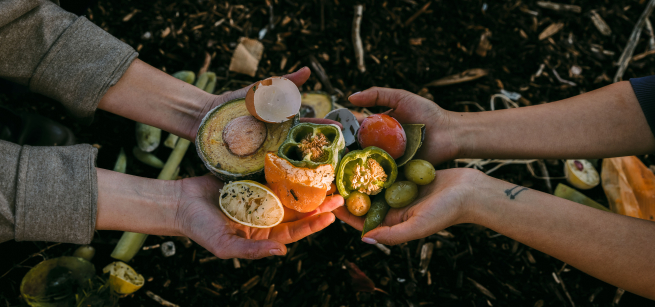 Pair of people holding a selection of fruits and vegetables over a compost heap