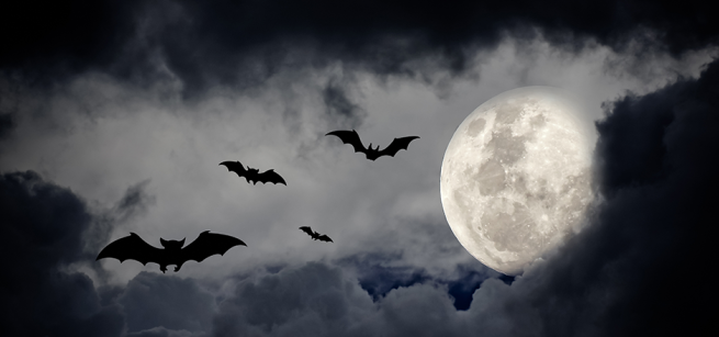 Bats fly against a cloudy sky with a full moon