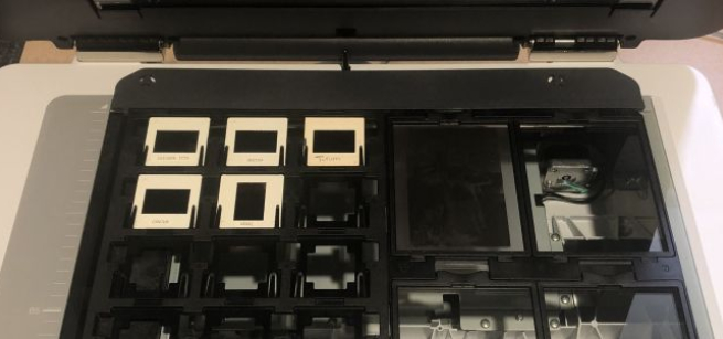Slides and negatives on a flatbed scanner