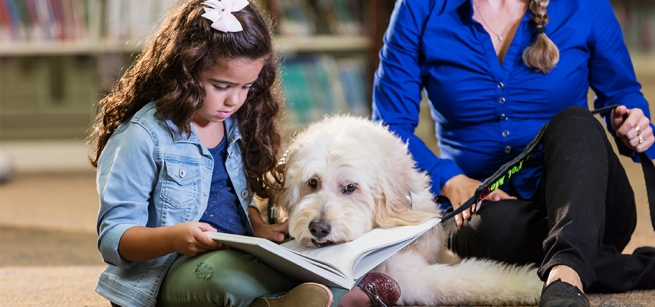 Child reading to a therapy dog