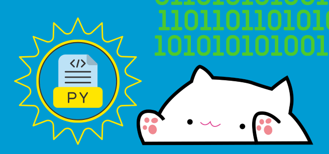 coding language with a cat emoticon