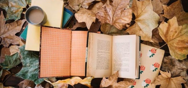 Two books laying open on a bed of leaves.