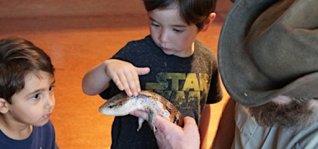 An adult holding a reptile. One child petting the reptile. Another child looking at the reptile