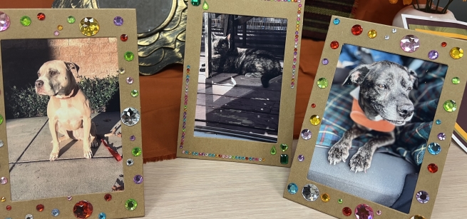 Image of decorated frames with pictures of dogs and a cat.