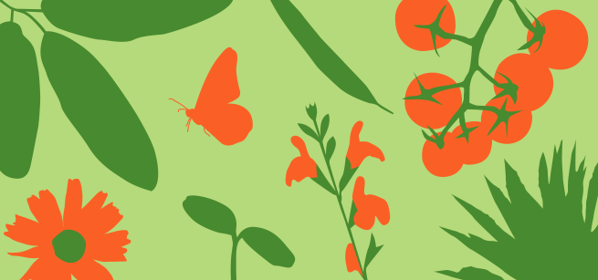 pattern of red flowers and green leaves