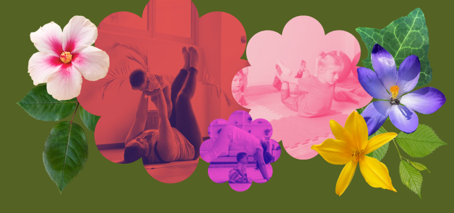 Collage of various flowers