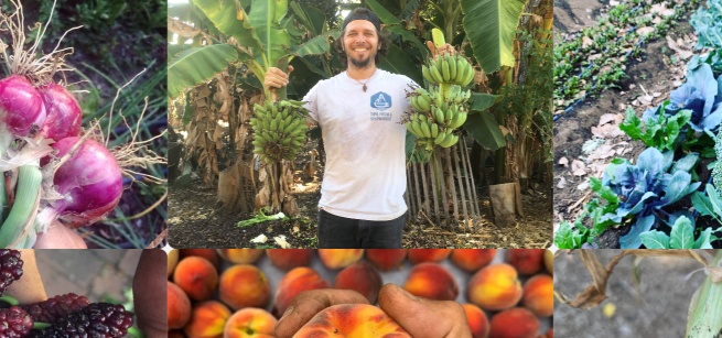 elliot kuhn and produce from his farm