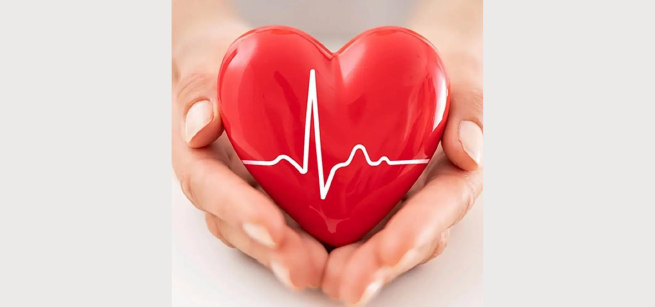 hands holding a heart toy in their hands