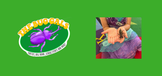 Logo for The Bug Gals with a purple beetle and a photo of a child in a purple and green dress holding a live beetle.