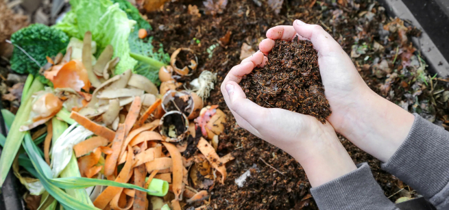 hands holding dirt in a compost pile