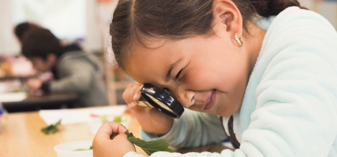 A girl was watching a tiny object through a magnifying glass.