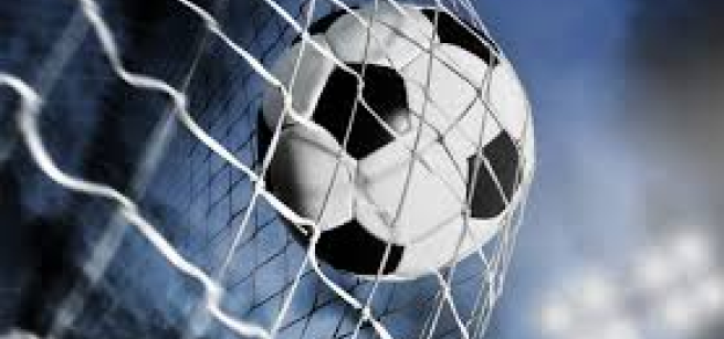 soccer ball in a net