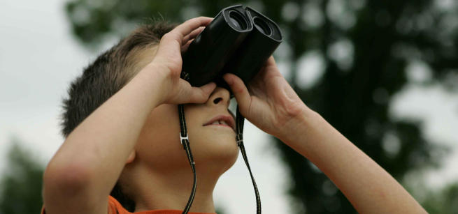 kid lifts binoculars to eyes