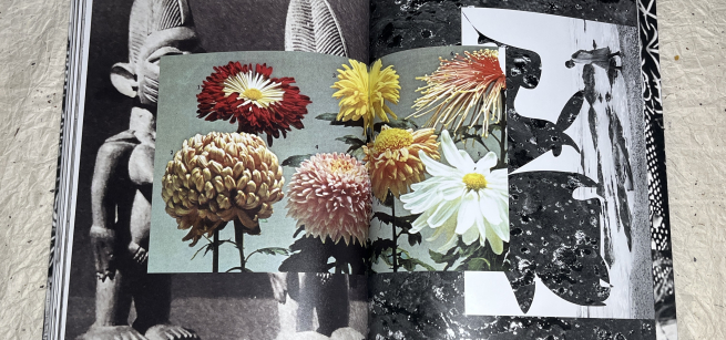 Images of flowers and other figures for collage inspiration