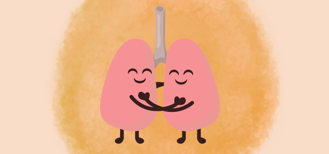 two kidneys hugging on a yellow background