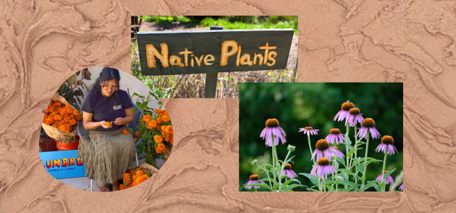A collage of a woman and flowers