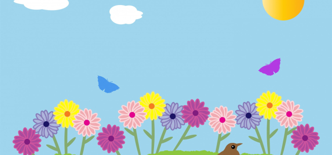 summer garden flowers