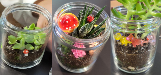 Close-up of three Mason jars filled with terrarium materials including soil and small plastic figurines.