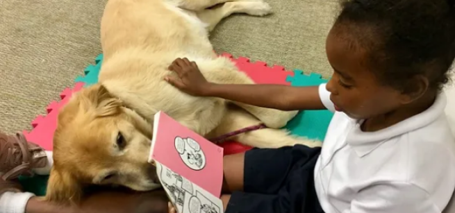 A young girl reading to a dog who is lying down with its head in her lap.