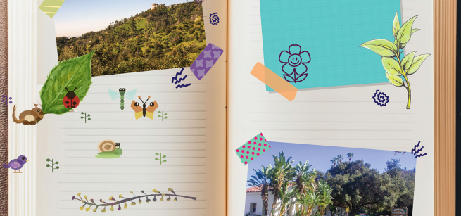 open journal with photos and stickers