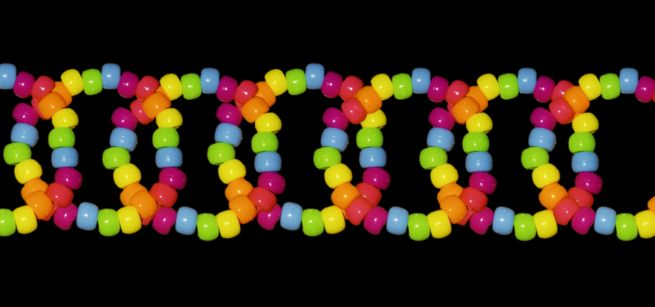 Beaded rainbow bracelets on a black background.